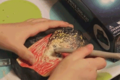 美国国家地理挖掘套装,亲手挖恐龙化石,宝石,昆虫标本