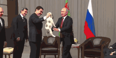 普京是个名副其实的爱狗狂魔.他常常收送各种萌狗作为礼物.