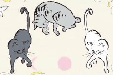 喵星人占领地球没有养猫也照样变猫奴