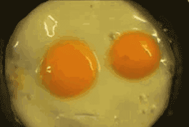 QQ截图20170608085820