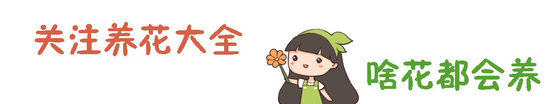 怎能不自己种点水果呢