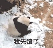 表情包丨国庆节想和女朋友出去玩有推荐的吗