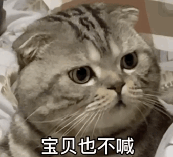 洗吧 洗吧 我保证不偷看 杰瑞表情包如果我过年没有压岁钱 情人节没