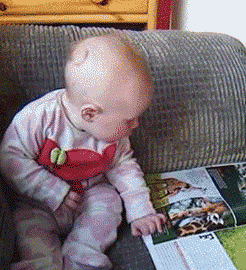 政府号召党团员积极生二胎!这次的网红是宜昌……-怀孕期