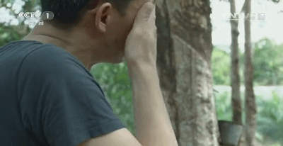 明星们都哭成狗,央视这片可惜停播了