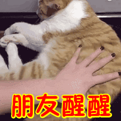 �ⲻ������Ѷ�Ƴ���һ��ӭ�������ϻ���