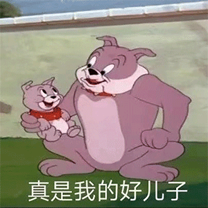 沙雕表情包接满这个桶就谈恋爱