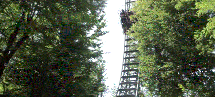 0(1).gif