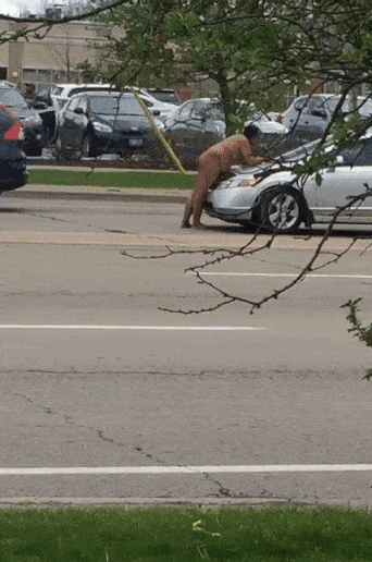 342_516 竖版 竖屏 gif 动态图 动图