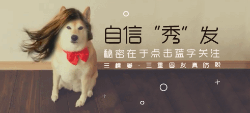 不长头发就是毛囊坏死？这是个假命题...