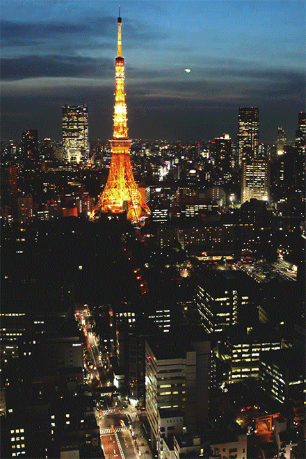 壁纸 建筑 塔 夜景 440_660 竖版 竖屏 手机 gif 动态图 动图