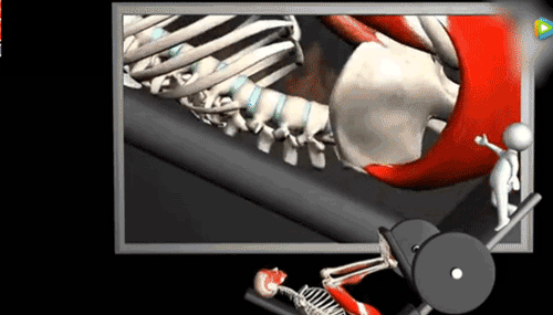 好,我们来放慢动作看看 长此以往 如何正确做倒蹲? 2.