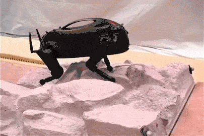 美国领先:Boston Dynamics 超级Atlas雙足機器人 & SpotMini機器狗