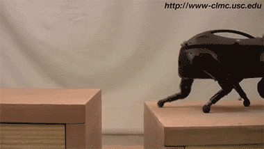 ȣBoston Dynamics AtlaspC & SpotMiniC
