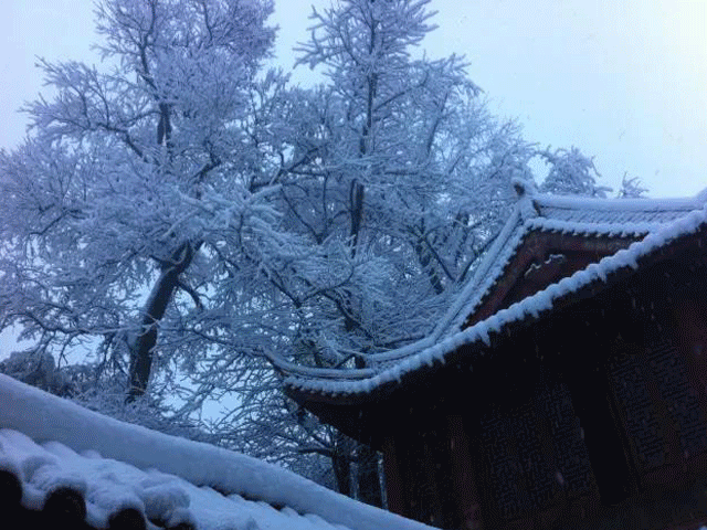 听说径山寺要复建,日本京都东福寺的朋友都来帮忙了.