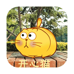 微信热门表情「开心猫」背后创作的故事!