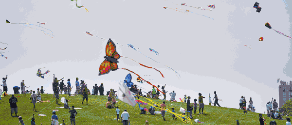 各式各样的风筝会让人惊叹不已,带着幻想,带着我们的笑声,飞上高高的