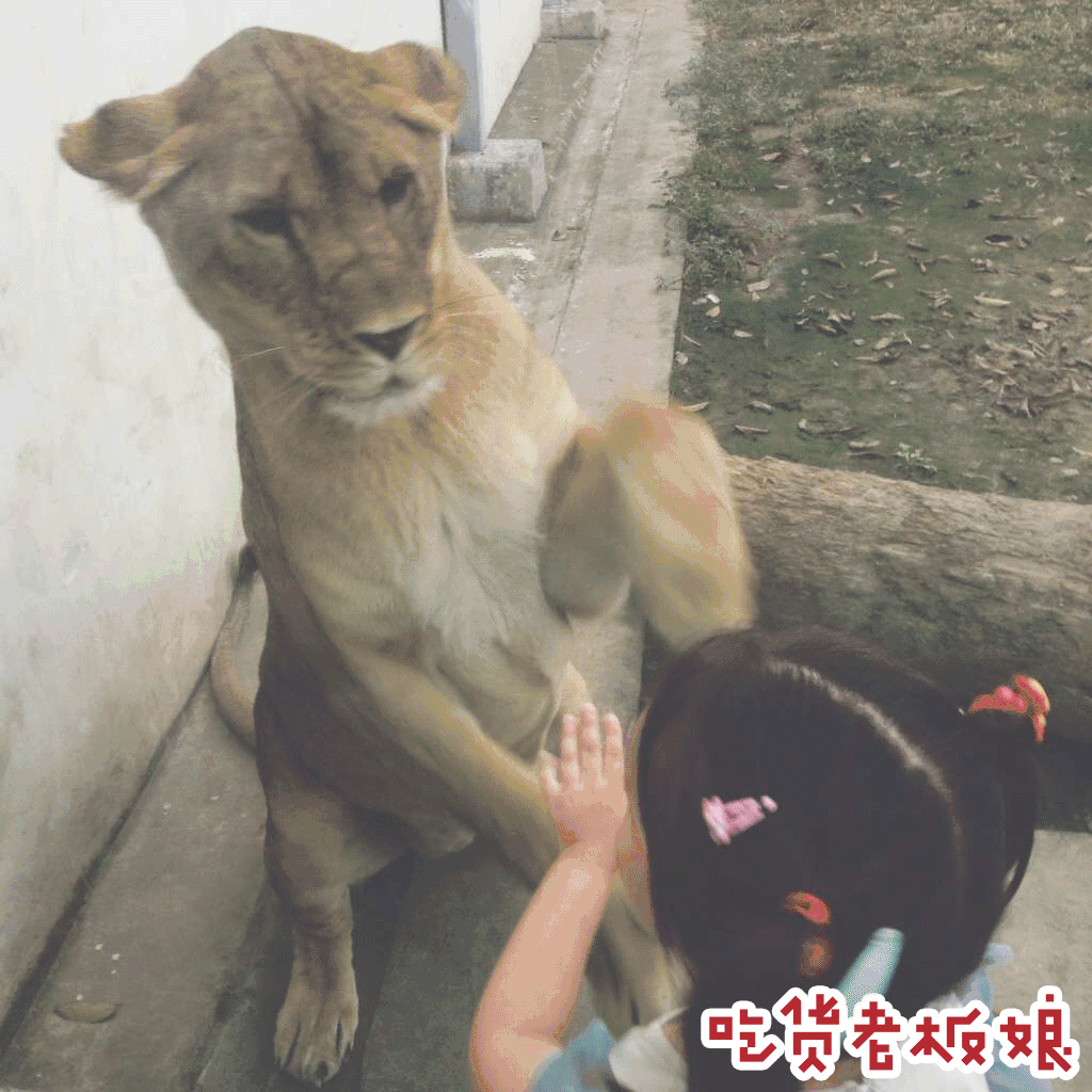 为何大家对苏州这座