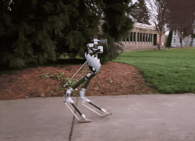 321ad6e.gif