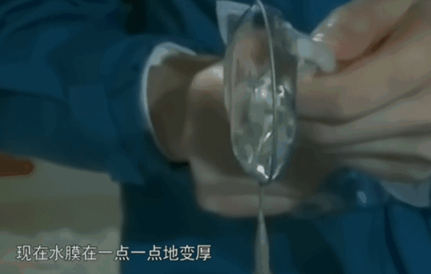 水膜和水球陀螺运动单摆运动质量测量他们向地面课堂演示了几项物理