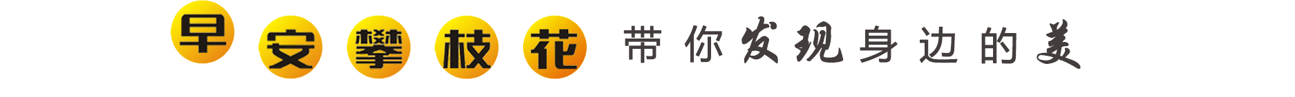 這場羽毛球比賽快被擠爆了： 有明星？獎(jiǎng)金高？其實(shí)是......