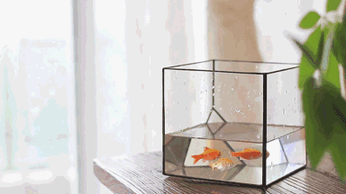 世界上最重要的四个教育孩子的原则