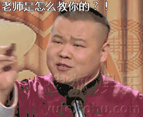 让小岳岳红遍大江南北,小眼睛大脸,极具喜感的表情迅速被网友收入囊中