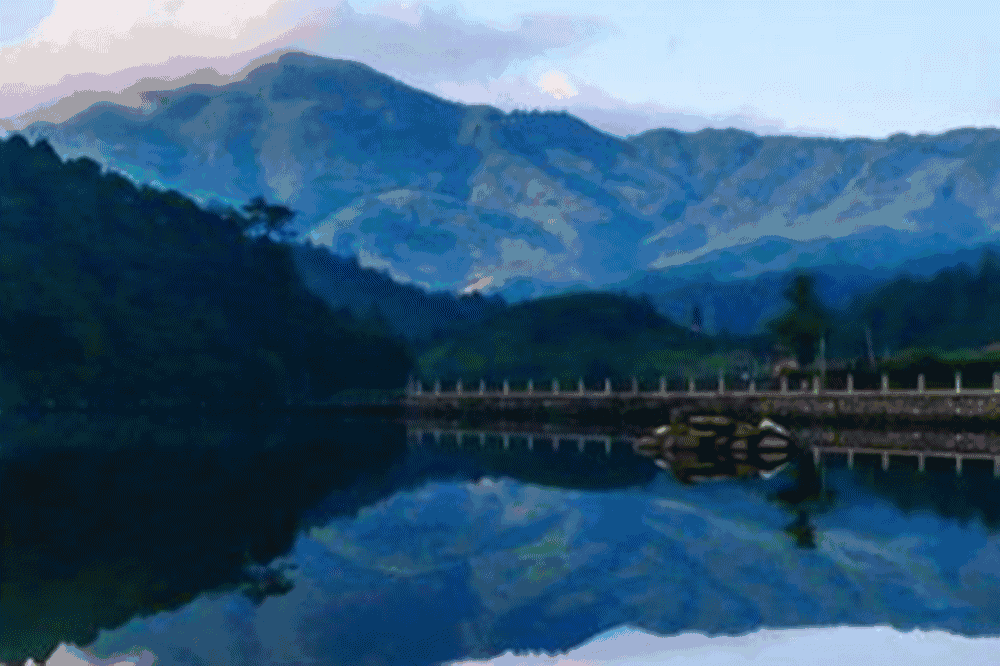 3青龙湾生态旅游区美丽红树林福利:青龙湾生态旅游区位于宁国市,距