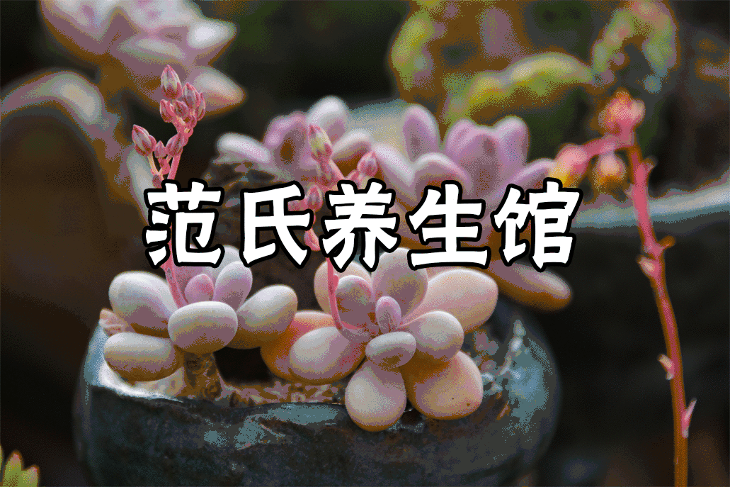 药补不如食疗好