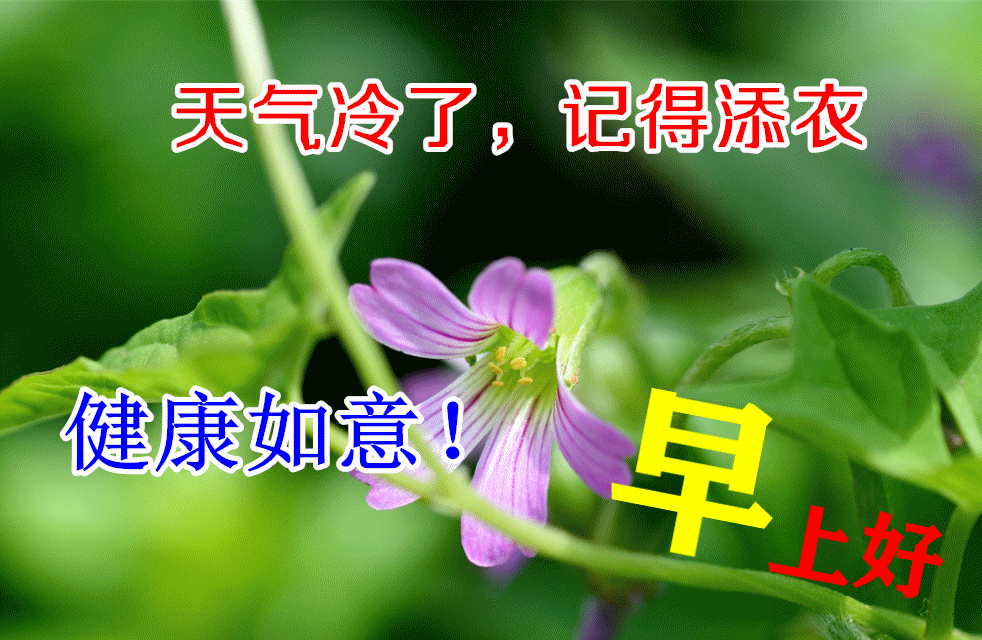 2021早上好动态祝福图片问候朋友秋季早安的祝福句子