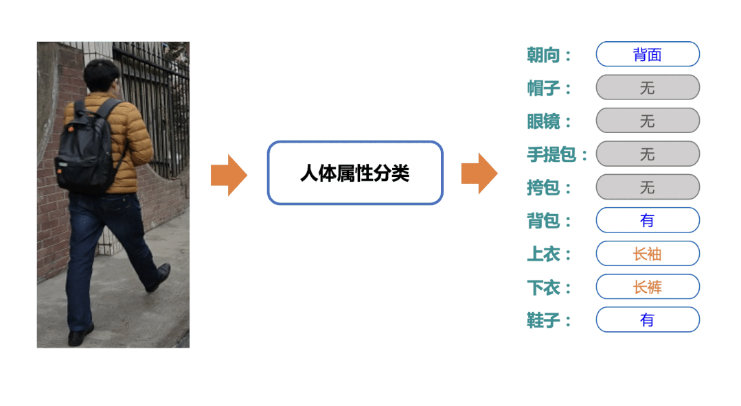 image1.GIF