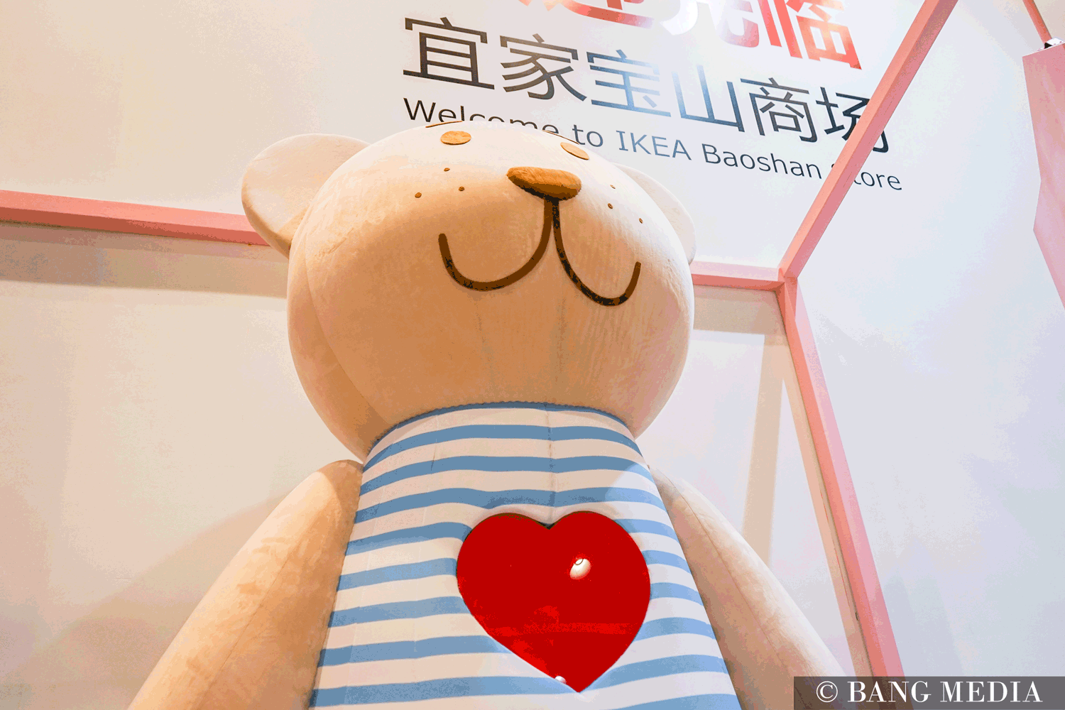 平时的宜家小熊此时在这只高达 2.8米的大熊身边