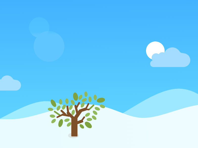 游客们赏完景,便可领一株树苗,选择一处