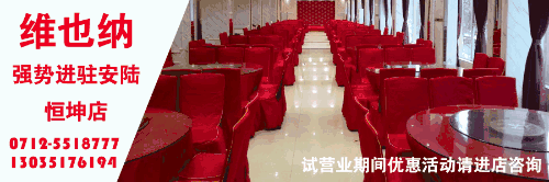 安陆河西新区规划图 安陆河西新区规划图