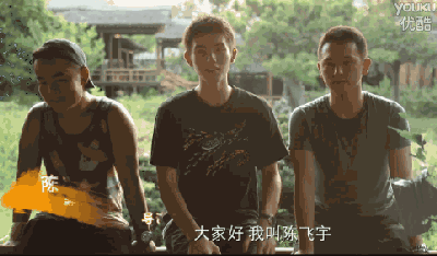 导演助理铲屎官