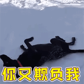 那就麻烦您将本公众号设为星标或置顶,多给我们点点