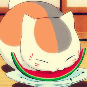 282_282gif 动态图 动图
