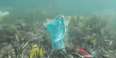 461_234gif 动态图 动图