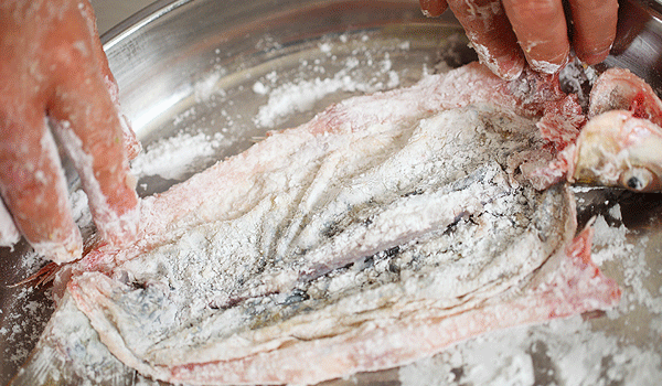 鱼系_蜂鸟7系探鱼器_济州真柏与系鱼川真柏