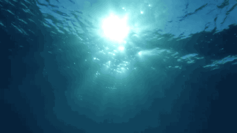 王妃的爱情信物美若星辰大海胜却世间情话