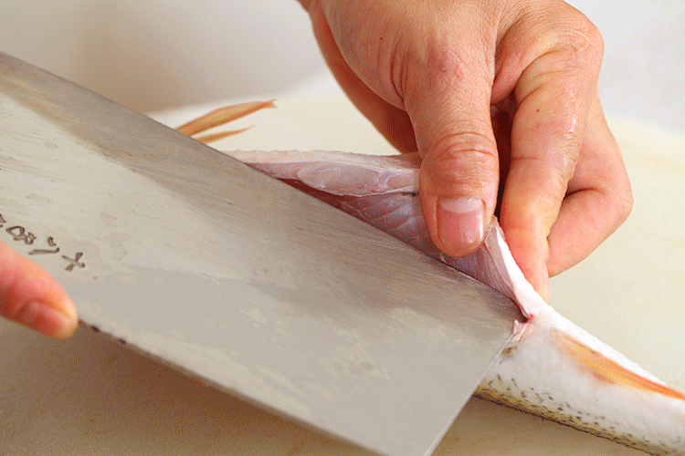 济州真柏与系鱼川真柏_蜂鸟7系探鱼器_鱼系