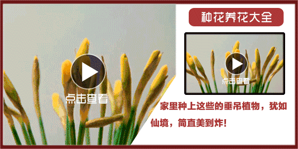 5个月大女婴屁股后有根长尾巴!原因竟是妈妈怀孕时......