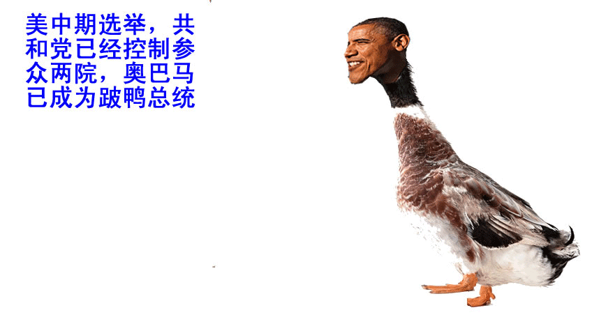 放在砧板上的鸭子,照样有它的粉丝.