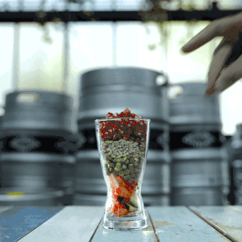 12月玩转夏日圣诞季：奥克兰city好吃好玩在哪里？【附：移民局&百伦放假通知】