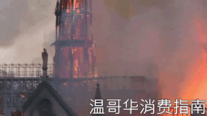 巴黎圣母院,twitter,建筑