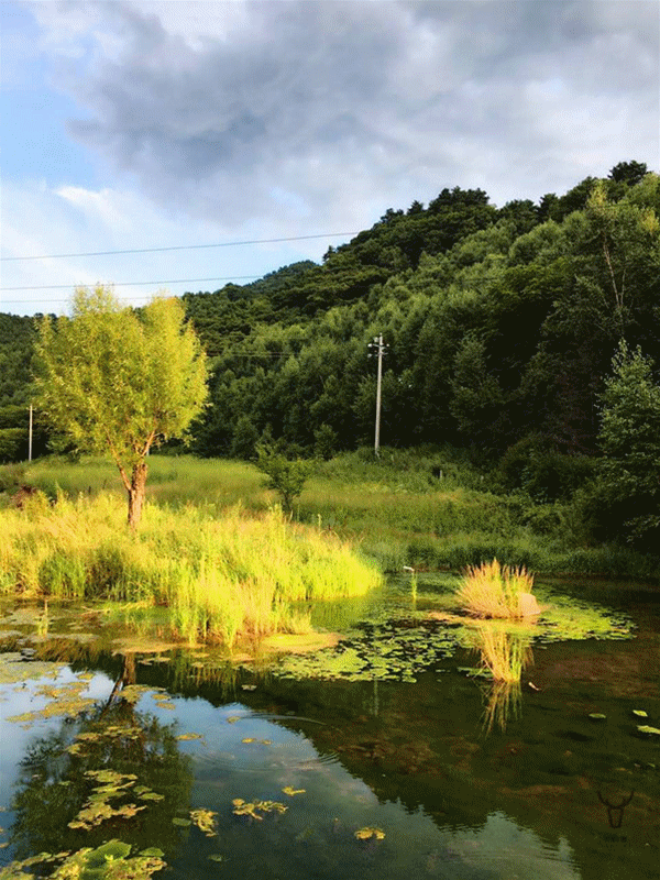 600_800 竖版 竖屏 gif 动态图 动图