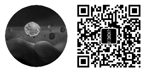 拍摄灵魂的大师 | 尤素福·卡什