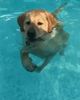 雨!雨!可能连下半个月,请选好泳姿出门,最难受的是这些地方停水,停电!