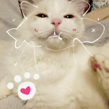 朋友圈里最珍贵的照片