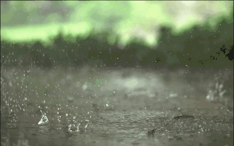 候潮听风 冬去春生